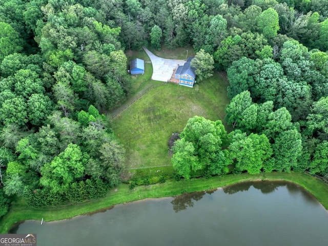 67 Mcnelley Dr, Morganton, GA 30560 - drone / aerial view of a large body of water