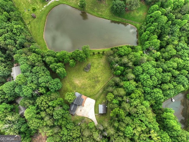 67 Mcnelley Dr, Morganton, GA 30560 - view of property location featuring a nearby body of water
