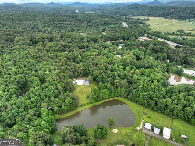 67 Mcnelley Dr, Morganton, GA 30560 - bird's eye view of a water and mountain view and a heavily wooded area