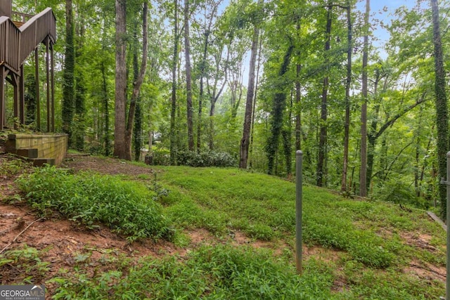 5560 Pilgrim Point Ext, Cumming, GA 30041 - view of yard
