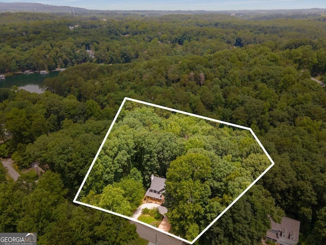 5560 Pilgrim Point Ext, Cumming, GA 30041 - aerial overview of property's location with a heavily wooded area and property parcel outlined