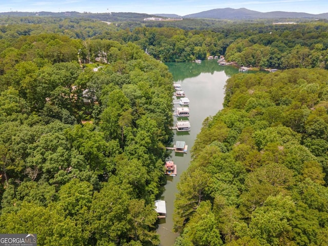 5560 Pilgrim Point Ext, Cumming, GA 30041 - aerial view of a forest and a water and mountain view