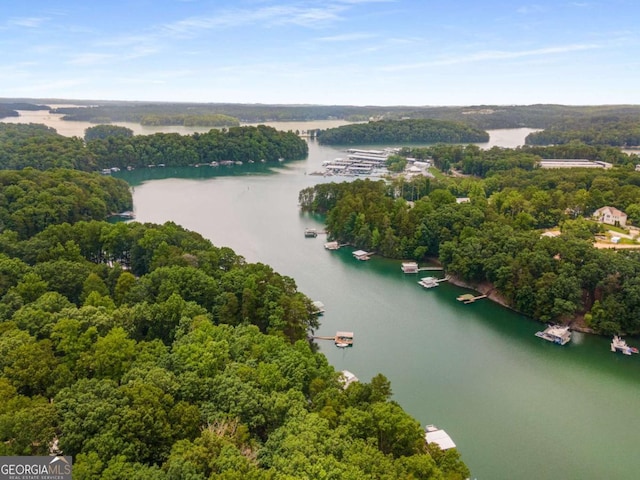 5560 Pilgrim Point Ext, Cumming, GA 30041 - bird's eye view of a large body of water
