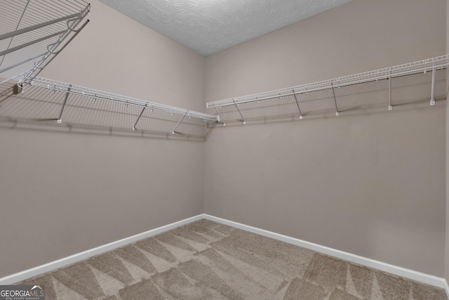 502 Creekside Dr, Lagrange, GA 30240 - spacious closet with carpet flooring