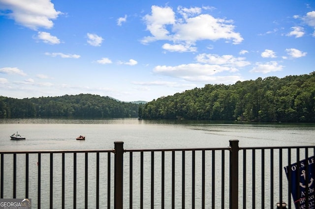 128 Overlake Ct, Morganton, GA 30560 - water view featuring a forest