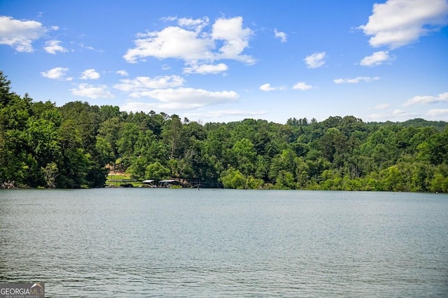 128 Overlake Ct, Morganton, GA 30560 - water view featuring a heavily wooded area