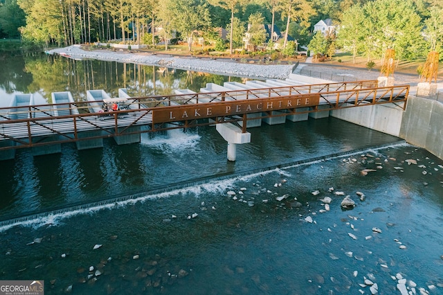 205 Shadowood Ln, Peachtree City, GA 30269 - dock with a water view and a forest view