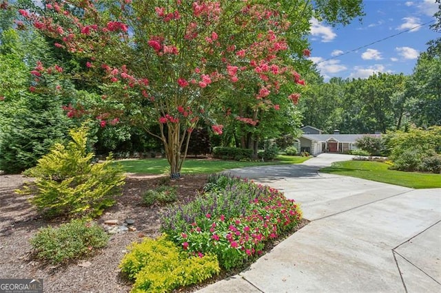 750 Crest Valley Dr NW, Sandy Springs, GA 30327 - view of front of house featuring a front lawn and concrete driveway