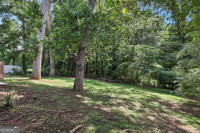 2849 Snapfinger Rd, Decatur, GA 30034 - view of yard