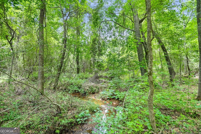 11.59/-AC Hunt Rd, Lagrange, GA 30241