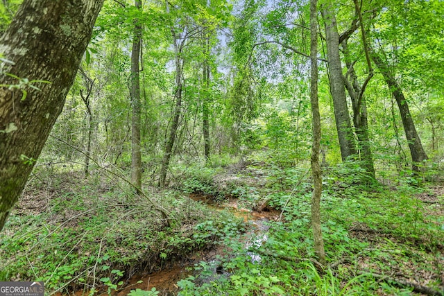 11.59/-AC Hunt Rd, Lagrange, GA 30241