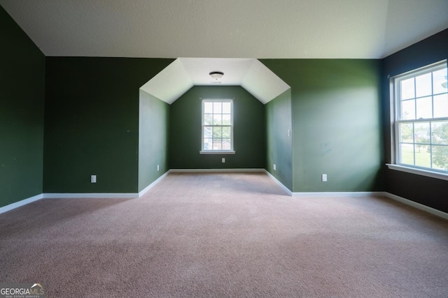 43 NE Yearling Ct, Ludowici, GA 31316 - bonus room with carpet flooring and lofted ceiling