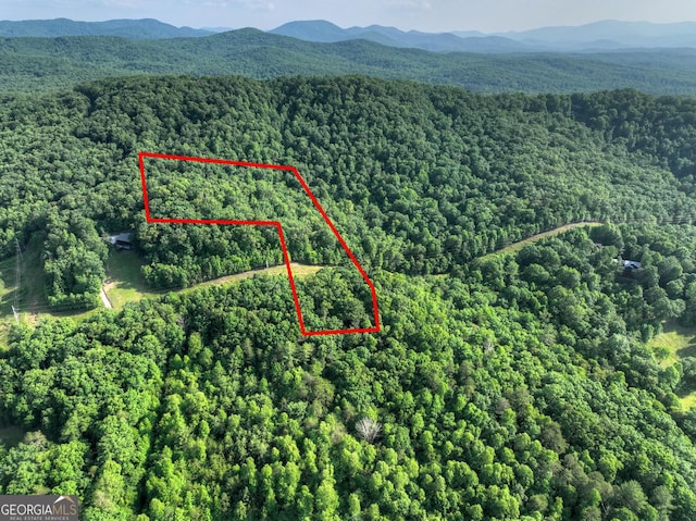 0 Walker Dr, Morganton, GA 30560