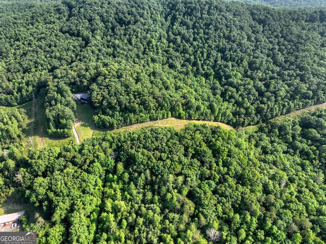 0 Walker Dr, Morganton, GA 30560