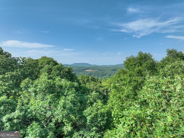 0 Walker Dr, Morganton, GA 30560