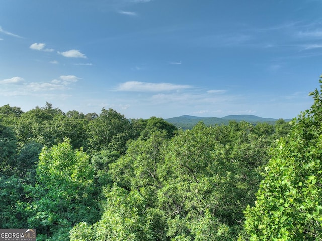 0 Walker Dr, Morganton, GA 30560