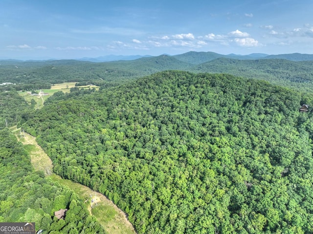 0 Walker Dr, Morganton, GA 30560