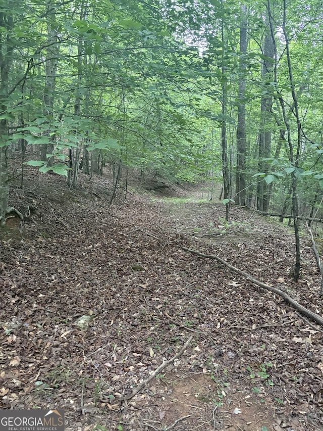 0 Walker Dr, Morganton, GA 30560