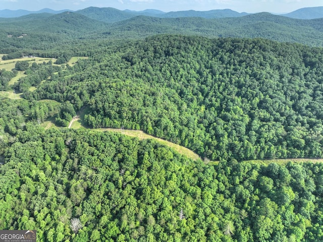 0 Walker Dr, Morganton, GA 30560