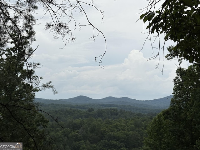 0 Walker Dr, Morganton, GA 30560