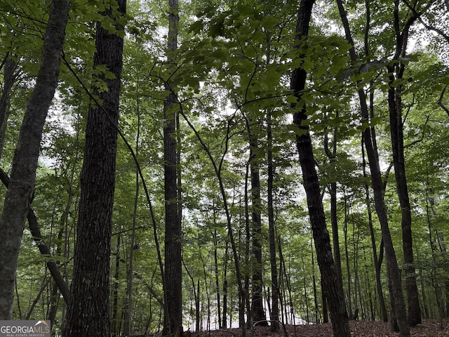 0 Walker Dr, Morganton, GA 30560