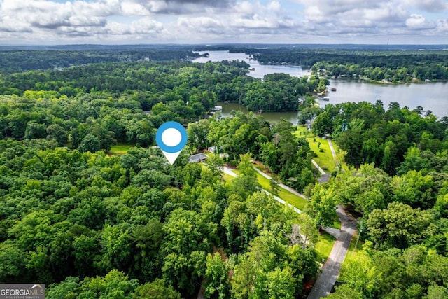 103 Fawn Ct, Eatonton, GA 31024 - aerial view of a heavily wooded area and a nearby body of water