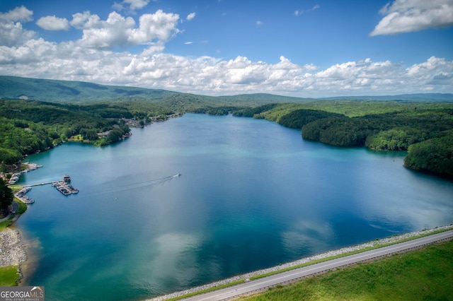 101 Pawnee St, Waleska, GA 30183 - water view featuring a forest and a mountainous background