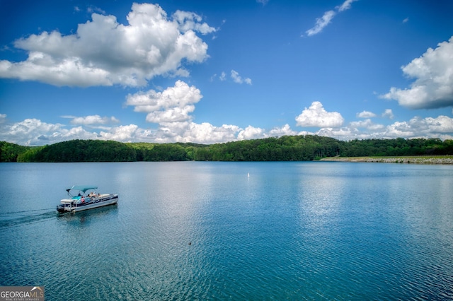 101 Pawnee St, Waleska, GA 30183 - water view with a dock and a forest