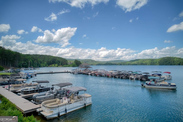 101 Pawnee St, Waleska, GA 30183 - dock area with a water view and a wooded view