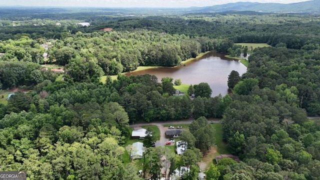 120 Foothill Dr, Dalton, GA 30720 - view of property location with a forest and a large body of water