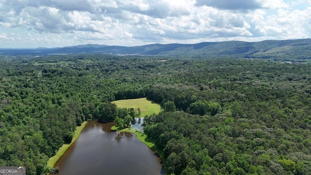 120 Foothill Dr, Dalton, GA 30720 - bird's eye view of a heavily wooded area and a water and mountain view