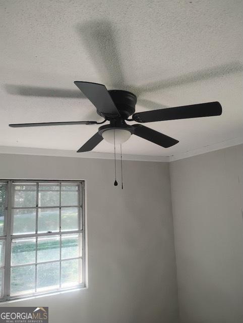 120 Foothill Dr, Dalton, GA 30720 - detailed view of crown molding, a textured ceiling, and ceiling fan