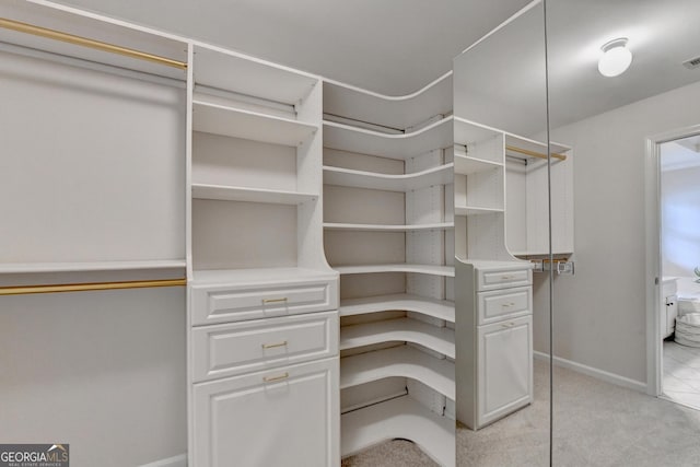 1868 Birch Briar Bnd, Lawrenceville, GA 30043 - spacious closet featuring light carpet