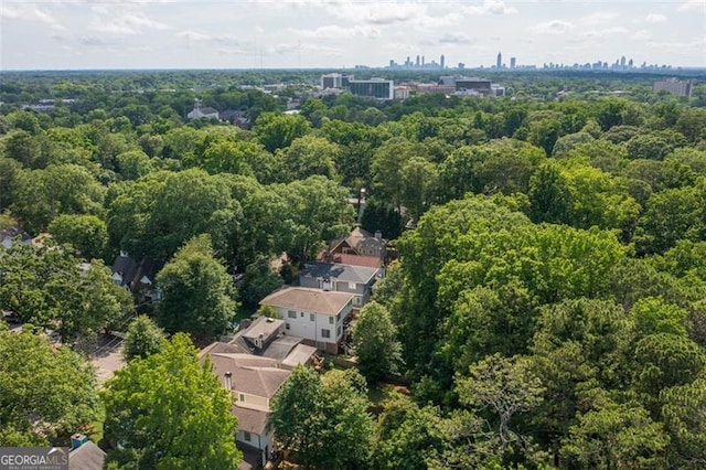 127 Oak Ln, Decatur, GA 30030 - aerial view of a forest