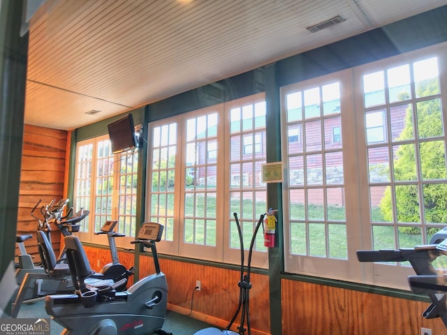 77 Falls View Dr, Dillard, GA 30537 - exercise room featuring healthy amount of natural light, wood walls, and wood ceiling