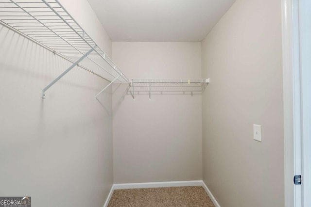 2317 Church St, Hampton, GA 30228 - spacious closet with carpet flooring