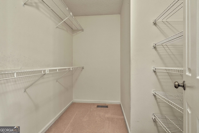 118 Whitfield Run, Peachtree City, GA 30269 - spacious closet featuring carpet