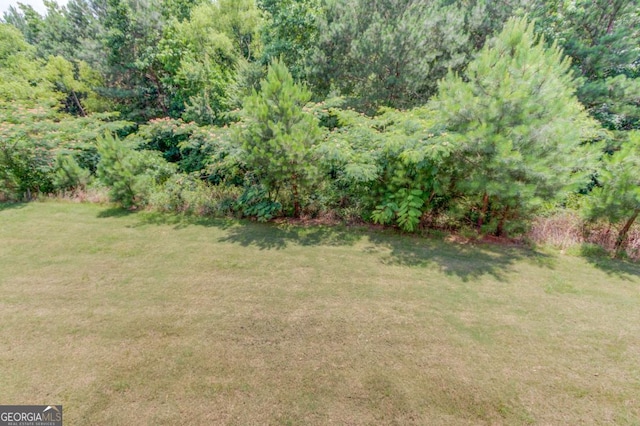 2005 Hamilton Creek Pkwy, Dacula, GA 30019 - view of grassy yard