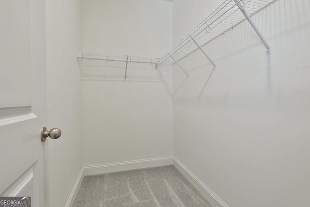 459 N Cove Dr, Newnan, GA 30263 - walk in closet with carpet
