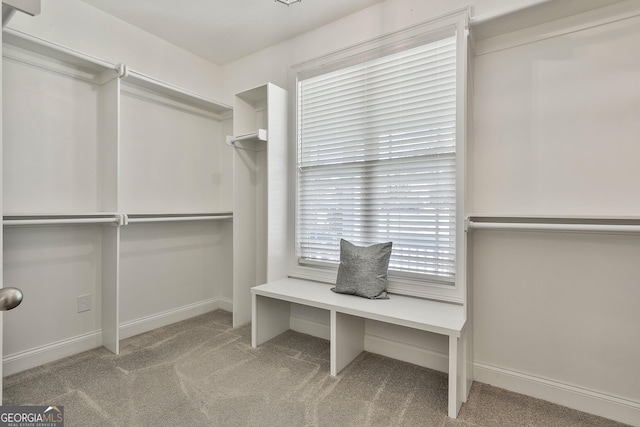 459 N Cove Dr, Newnan, GA 30263 - walk in closet with carpet flooring
