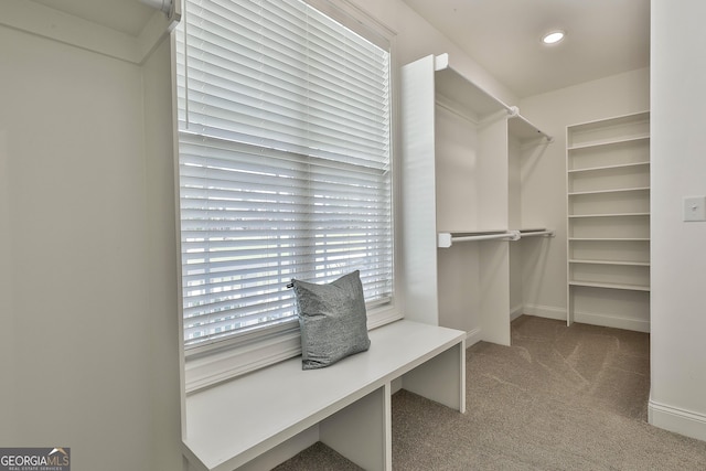 459 N Cove Dr, Newnan, GA 30263 - spacious closet with carpet floors