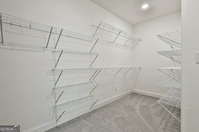 459 N Cove Dr, Newnan, GA 30263 - walk in closet featuring carpet