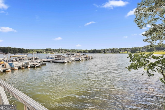 459 N Cove Dr, Newnan, GA 30263 - dock with a water view