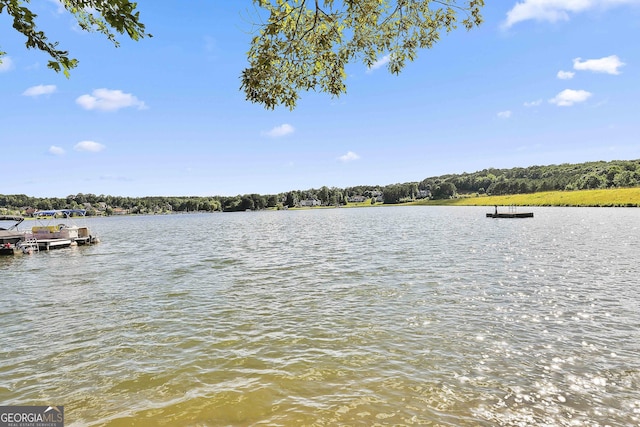 459 N Cove Dr, Newnan, GA 30263 - water view with a floating dock