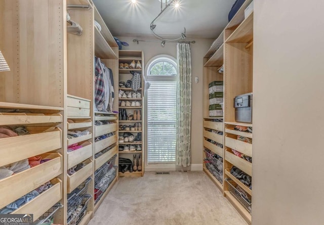 119 Creekside Vw, Hiram, GA 30141 - walk in closet with carpet flooring