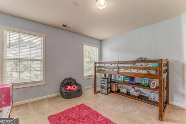 119 Creekside Vw, Hiram, GA 30141 - bedroom featuring multiple windows and carpet flooring