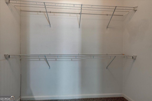 2898 Cedar Trace Dr, Ellenwood, GA 30294 - view of walk in closet