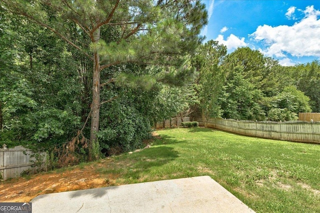 2898 Cedar Trace Dr, Ellenwood, GA 30294 - fenced backyard featuring a patio area