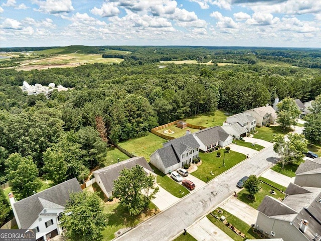2898 Cedar Trace Dr, Ellenwood, GA 30294 - aerial view of residential area with a heavily wooded area