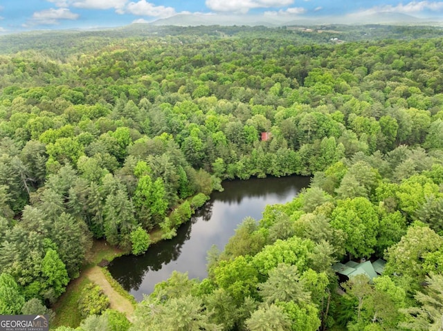 168 Spring Lake Dr, Ellijay, GA 30536